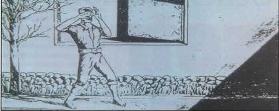 Horror em Araçariguama Horror em Araçariguama