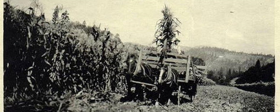 Cronologia de Fatos Ufológicos [Ano 1901 Até ano 1940]