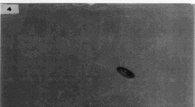 O Caso da Barra da Tijuca O Caso da Barra da Tijuca