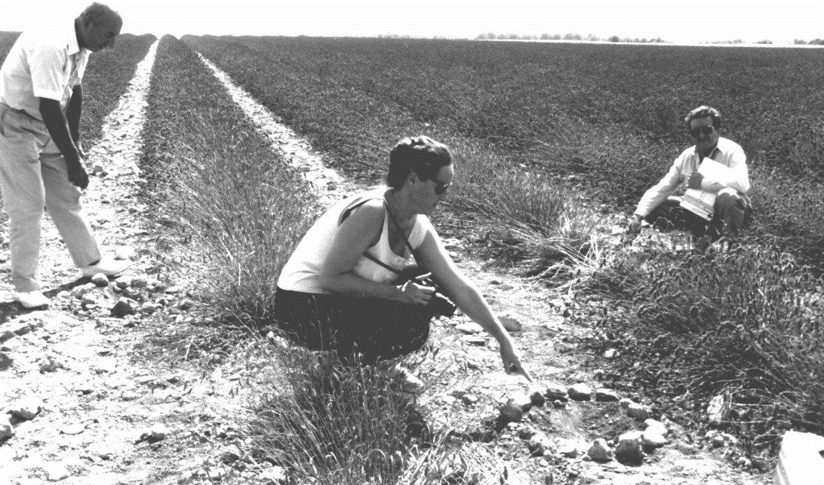 O Perfil do Ufólogo O Perfil do Ufólogo