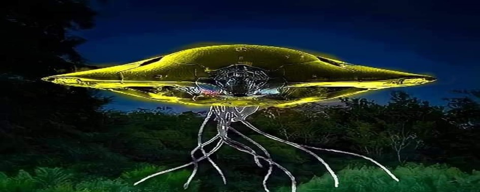 Caso Hermelindo da Silva