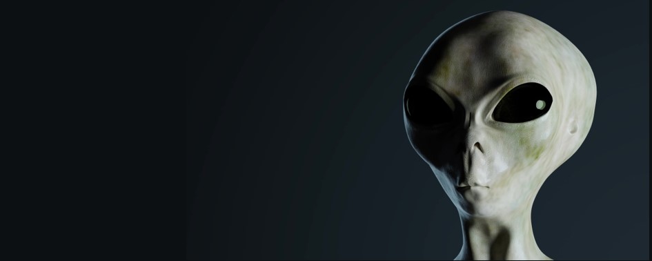 Contato Imediato em Mogi-Guaçu