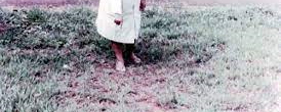 O Fantástico Caso Lins