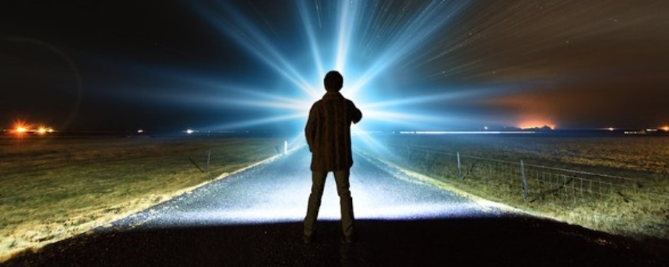 Avistamento na Estrada