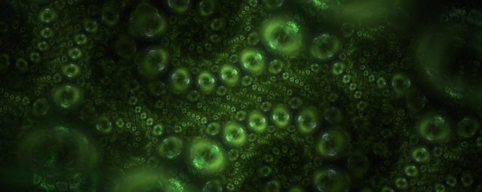 Nova pesquisa em astrobiologia prevê vida alienígena desconhecida