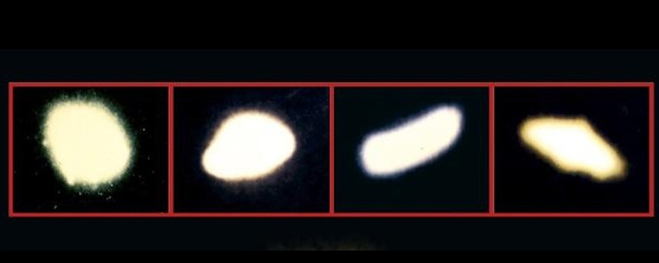 Os Padrões e Características do Fenômeno Chupa-chupa