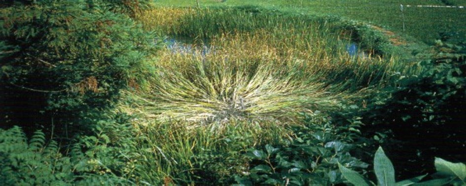 Comprovações Físicas