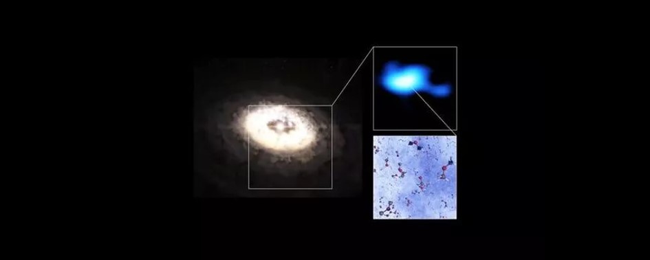 Um passo significativo para a Exobiologia
