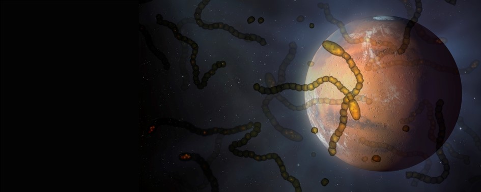 Nova Técnica Para Identificar Vida em Outros Planetas