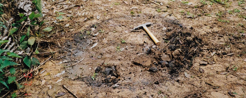 O Mistério da Biscaia