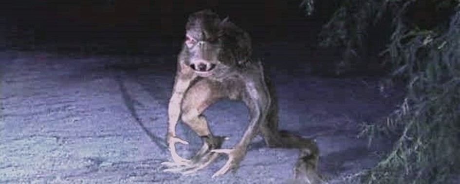 Chupacabras Atacam no Paraguai