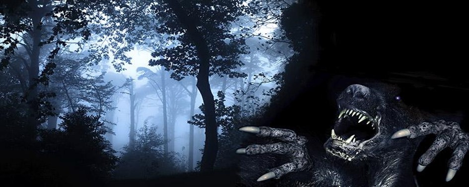 Chupacabras: Casos de Ataques à Humanos