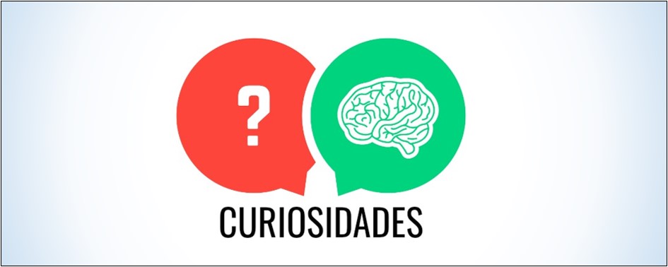 Noite Oficial: Curiosidades Noite Oficial: Curiosidades