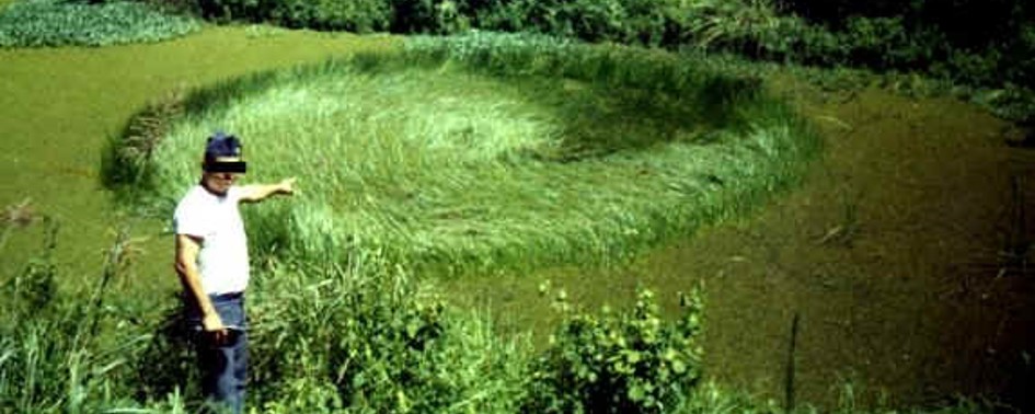 Comprovações Físicas – Vestígios no Solo Comprovações Físicas – Vestígios no Solo