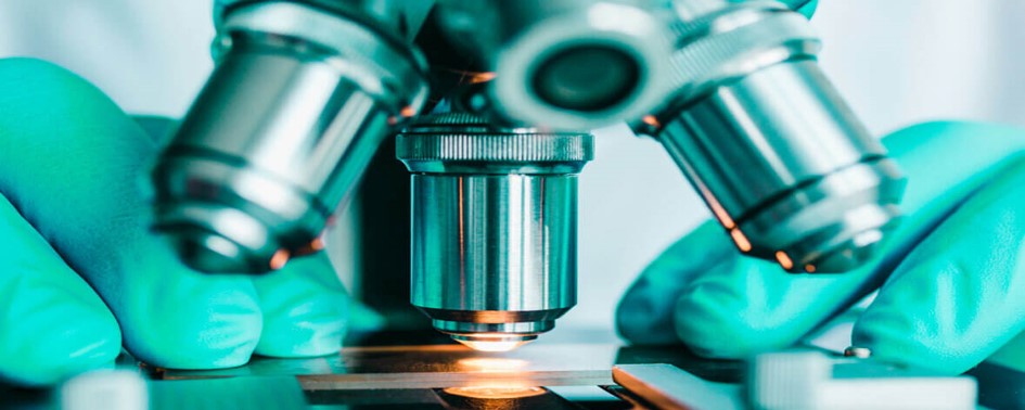 Chupacabras – Análises Laboratoriais