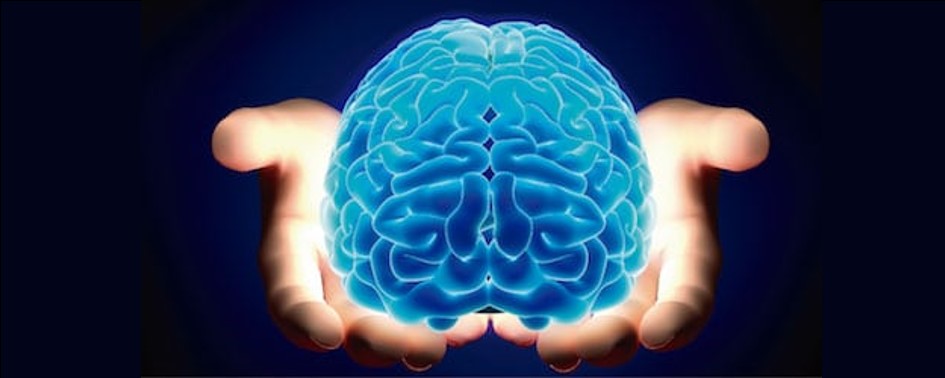 Neurocientista explica porque aliens inteligentes são quase uma certeza