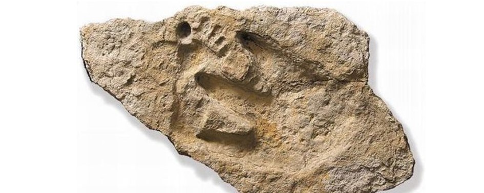 Pegadas Humanas na Pré-História? Pegadas Humanas na Pré-História?
