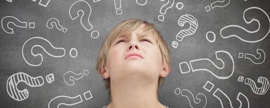 Noite Oficial: Perguntas em Resposta