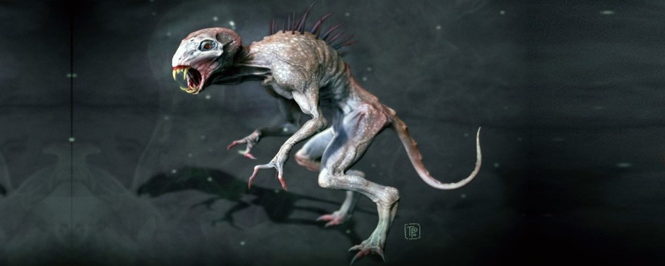 Chupacabras Ataca em Praia Grande (SP)