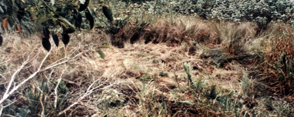 Pouso de UFO em São Vicente Pouso de UFO em São Vicente